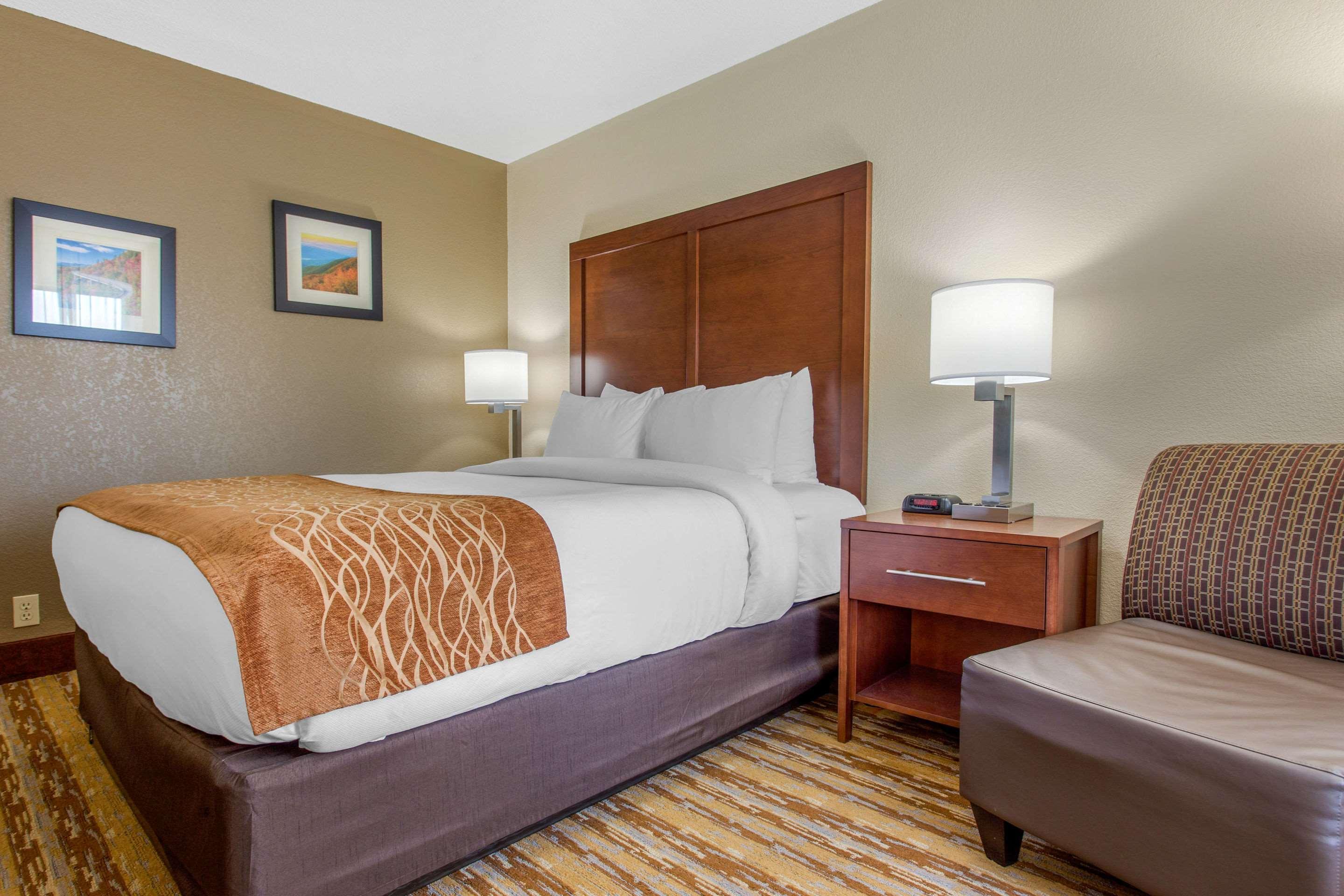 Comfort Inn Asheville East-Blue Ridge Pkwy Access Εξωτερικό φωτογραφία
