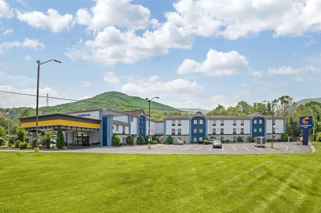 Comfort Inn Asheville East-Blue Ridge Pkwy Access Εξωτερικό φωτογραφία