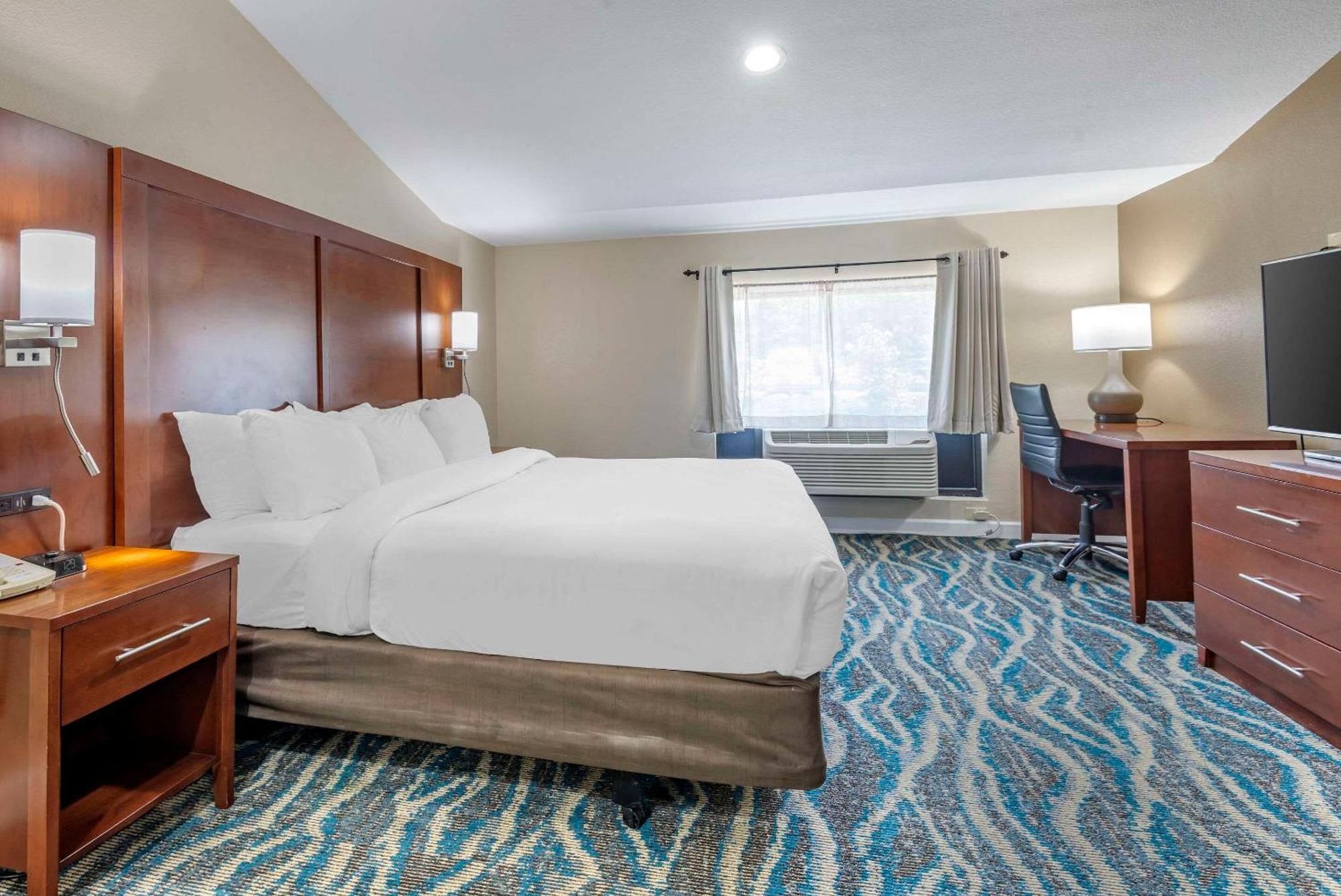 Comfort Inn Asheville East-Blue Ridge Pkwy Access Εξωτερικό φωτογραφία