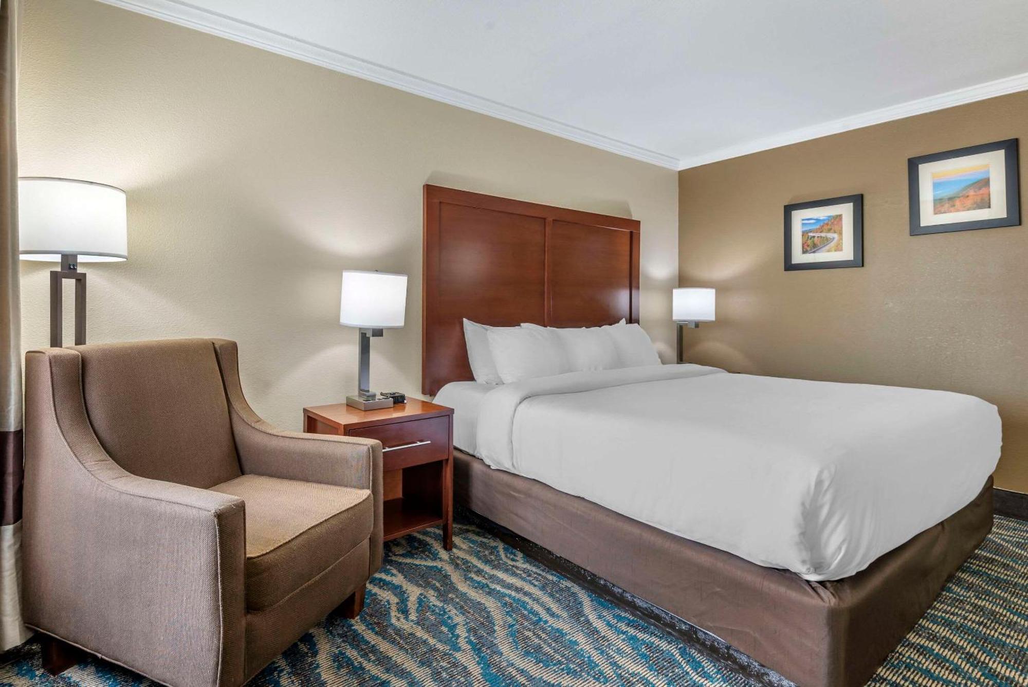 Comfort Inn Asheville East-Blue Ridge Pkwy Access Εξωτερικό φωτογραφία