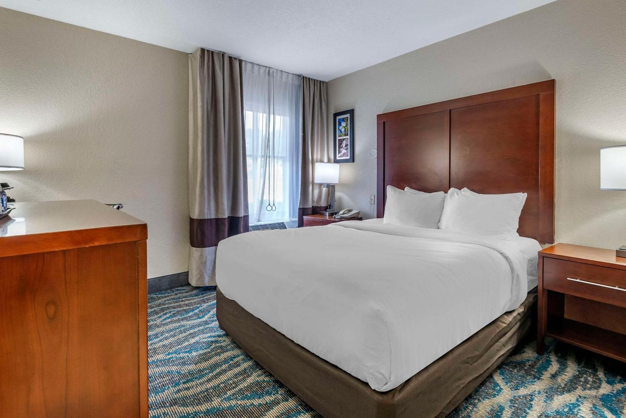 Comfort Inn Asheville East-Blue Ridge Pkwy Access Εξωτερικό φωτογραφία